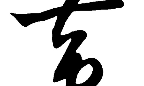 青皮甘蔗的功效网青皮甘蔗的功效作用与主治与用量知识网站,分享青皮甘蔗的功效与作用大全