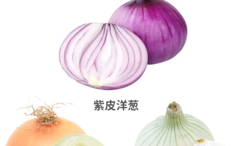 青皮甘蔗的功效网青皮甘蔗的功效作用与主治与用量知识网站,分享青皮甘蔗的功效与作用大全